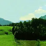 Apartmán Berggasthof Bichlersee *